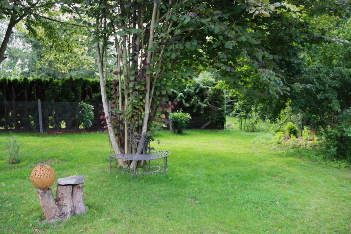 Ferienhaus An Der Wiese Luhmannsdorf 外观 照片
