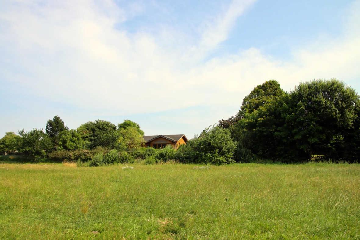 Ferienhaus An Der Wiese Luhmannsdorf 外观 照片